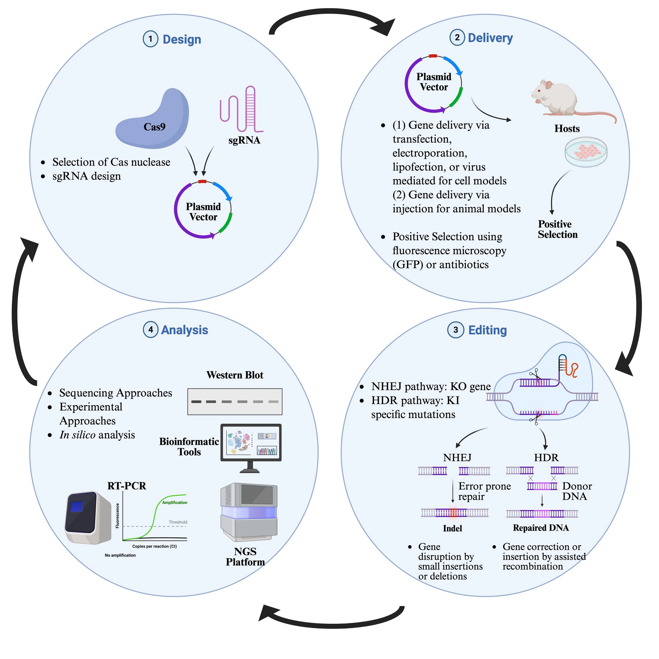 Gene Writing Gene Editing & Biosynthetic Platform — PharmaPlanter Technologies