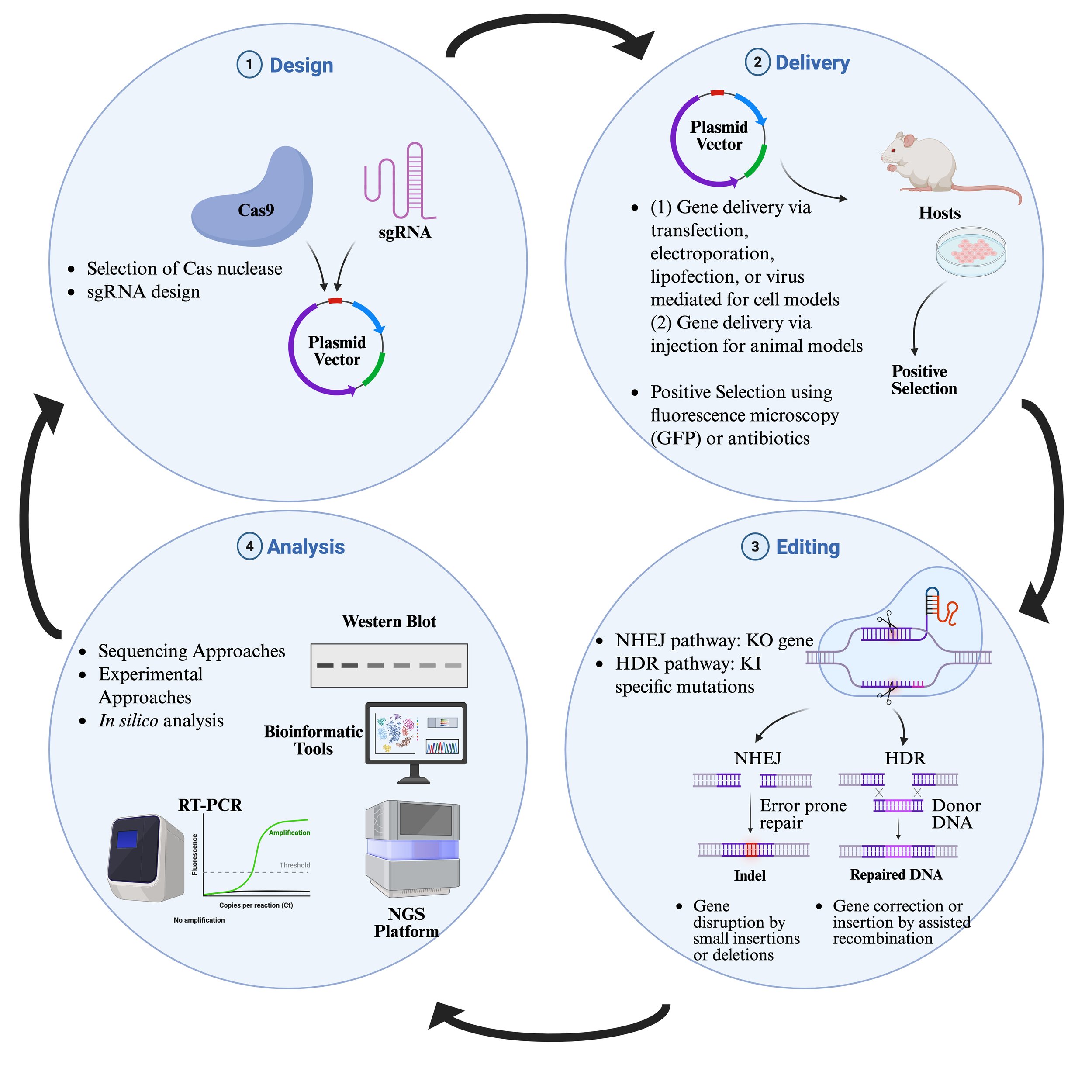 Gene Editing & Biosynthetic Platform — PharmaPlanter Technologies