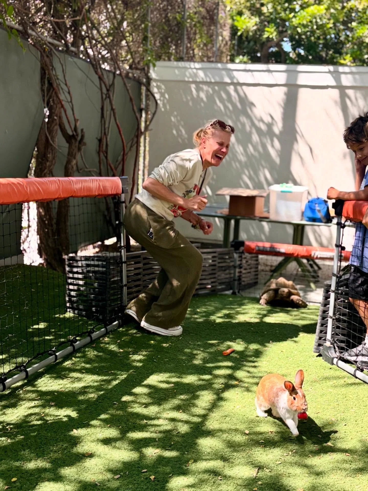 And so it goes, slow and steady does in fact win the race 🐢🏁🐇
.
#SCS #Owls #HootHoot #IndependentSchool #SycamoreCommunitySchool #OwlCamp #Summer #TortoiseAndTheHare