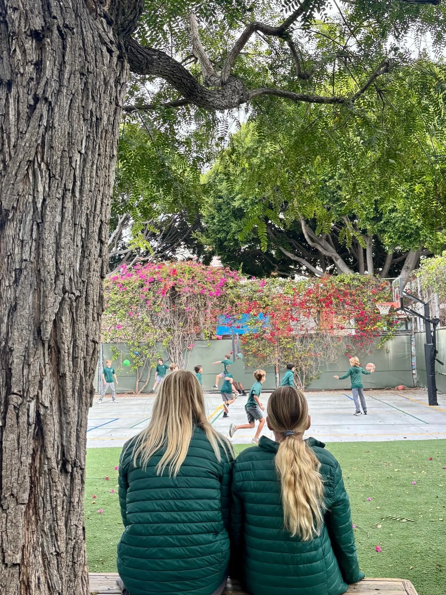 Sisters ❤️

#scs #sycamorecommunityschool #independentschool #owls #siblings #sistersister