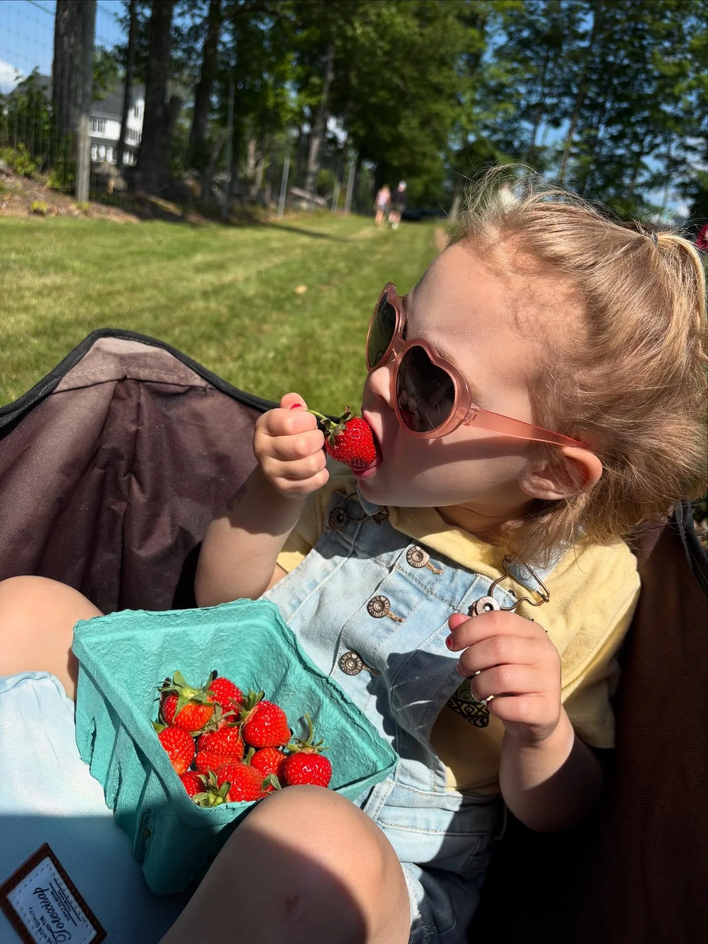 Last weekend was the opening of strawberry picking season at our local farm and my daughter ate (what felt like) a quart of strawberries faster than I could pick them! Or course she didn&rsquo;t want to pick them *with* me, but she liked to watch and