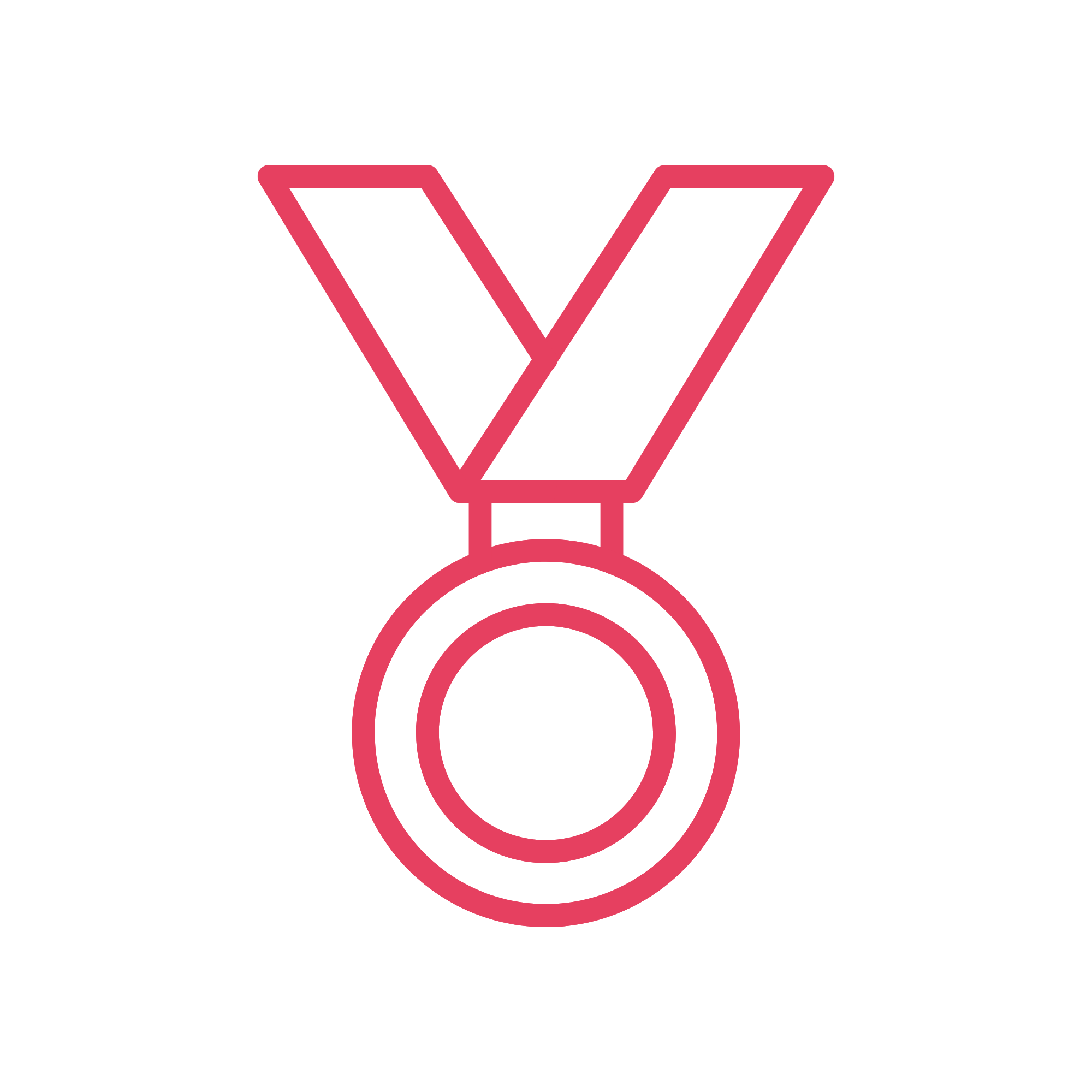 Finisher medal icon for the Valhalla Antelope Island mountain bike race