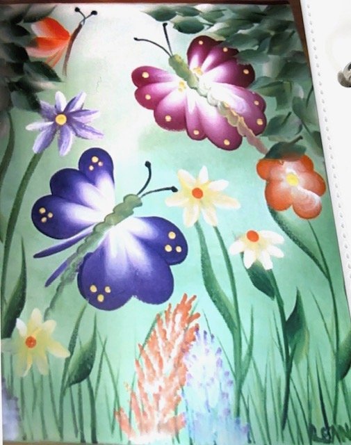 A close up of brilliant butterflies on my daughter's bedroom wall.