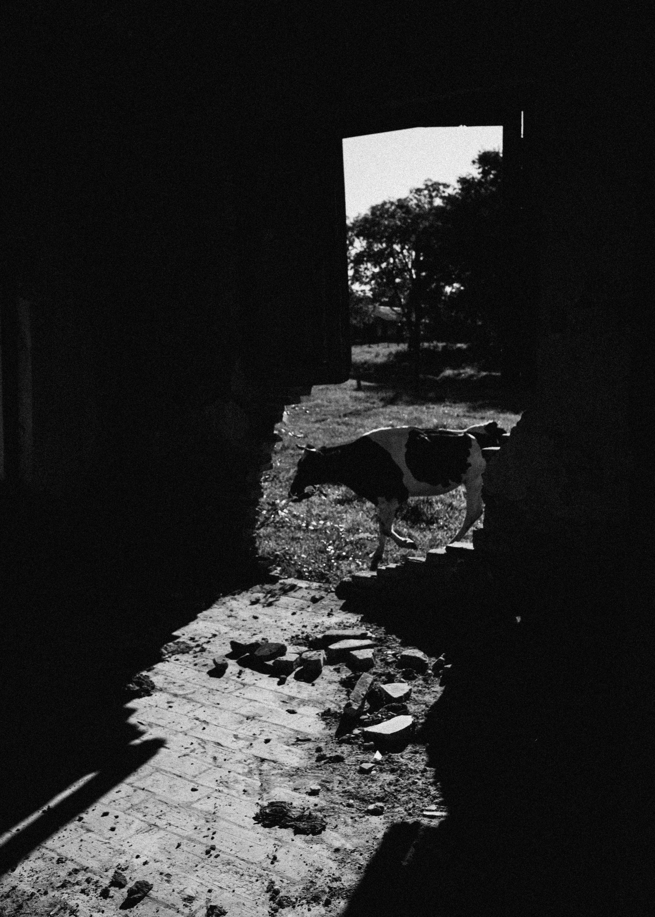 DSCF6858.jpg