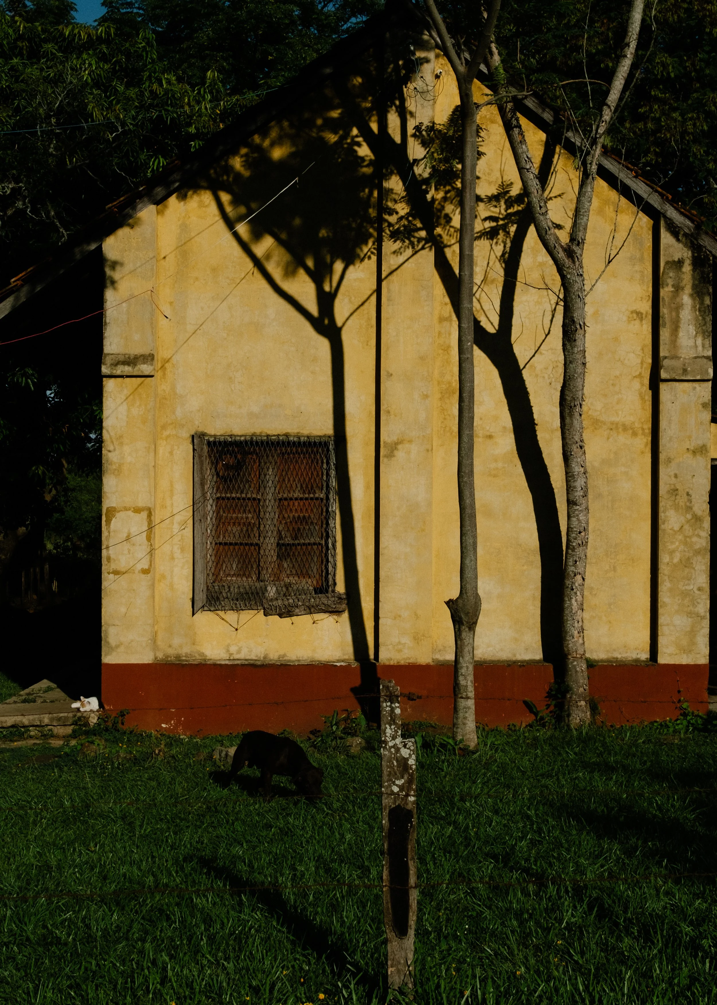 DSCF6927.jpg