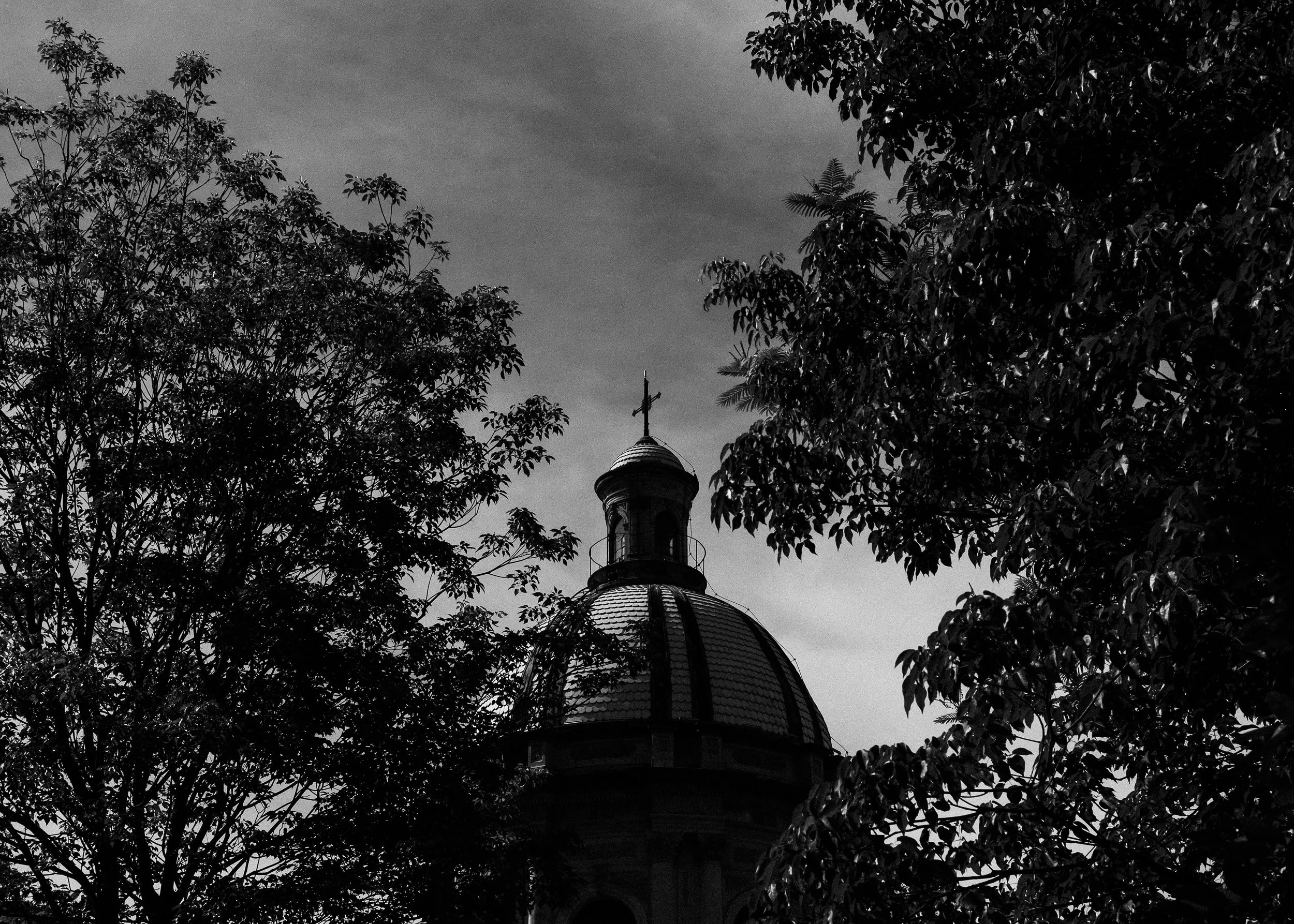 DSCF8322.jpg