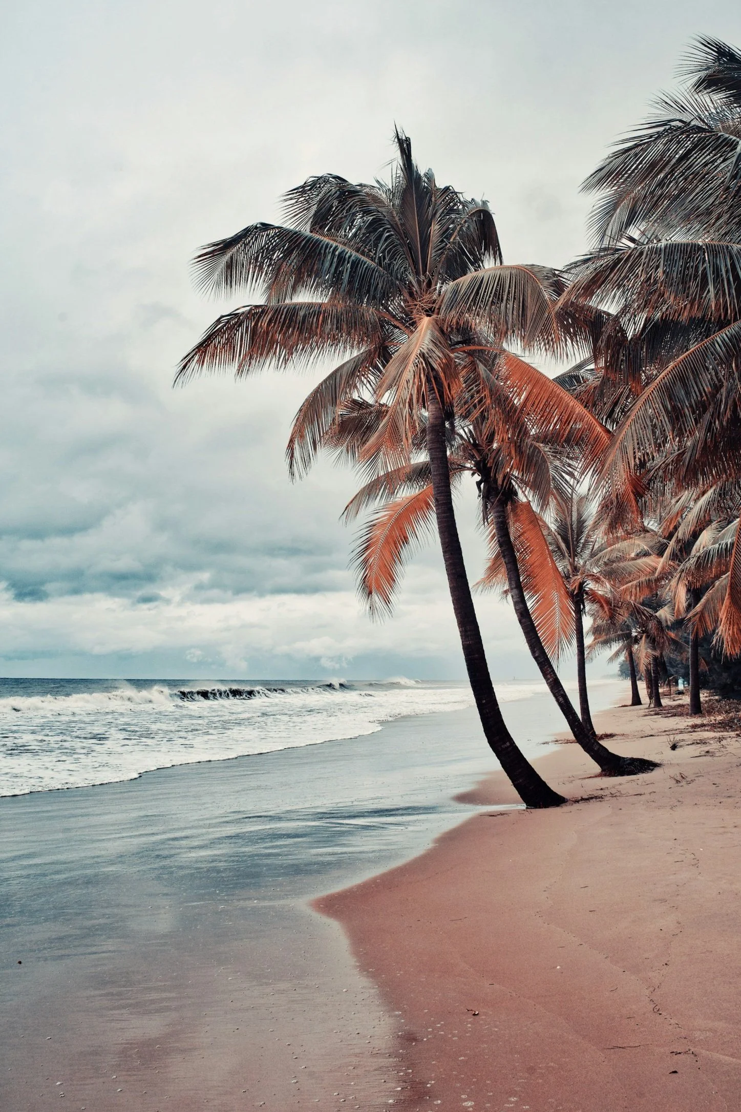 unsplash-image-NINqoBCmUD8.jpg