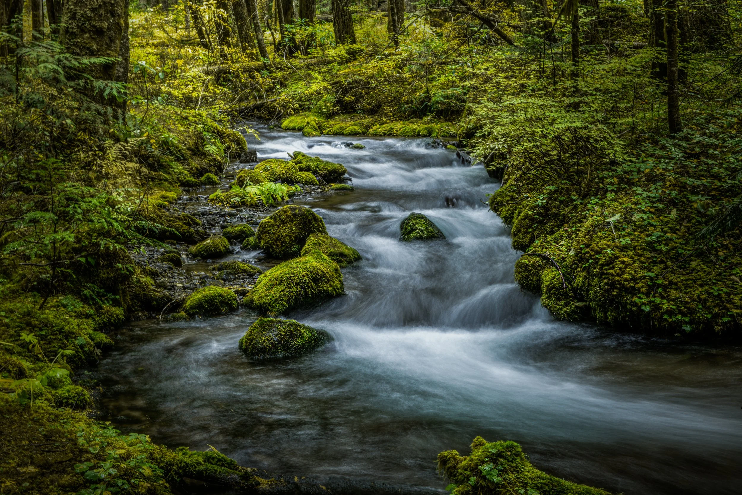 RDR_0442-Edit.jpg