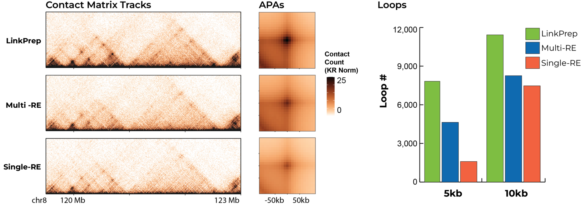 Comparison of chromatin contact maps and chromatin loop detection for Dovetail® LinkPrep, Multi-RE Hi-C, and Single-RE Hi-C methods, showing stronger chromatin interaction signal and increased loop detection with LinkPrep.