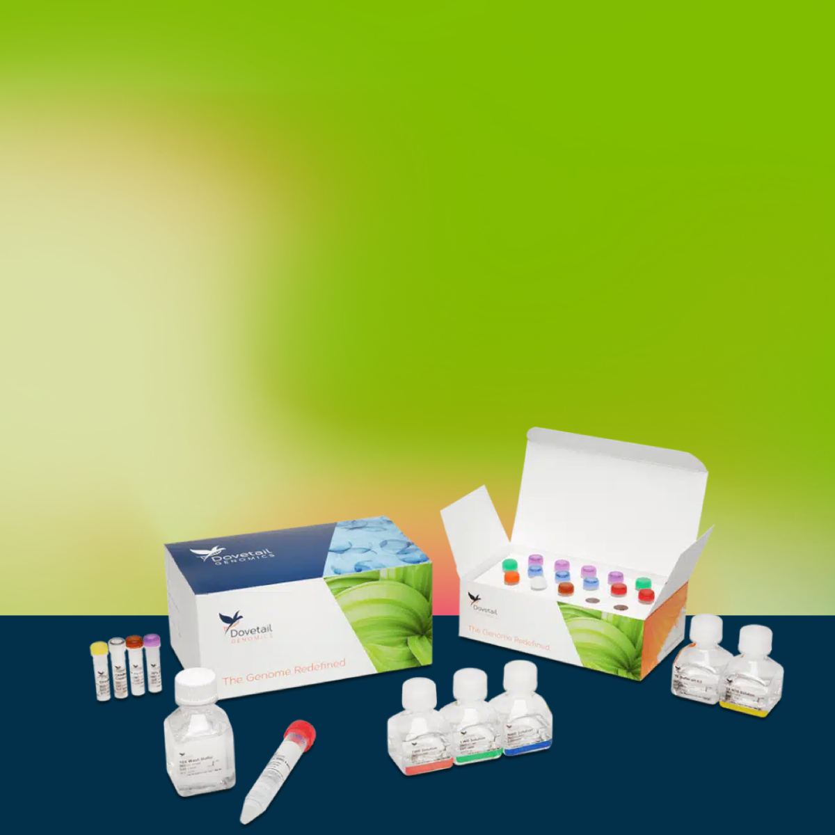 Genome Assembly — Products | Genomics Kits & Solutions — Dovetail Genomics