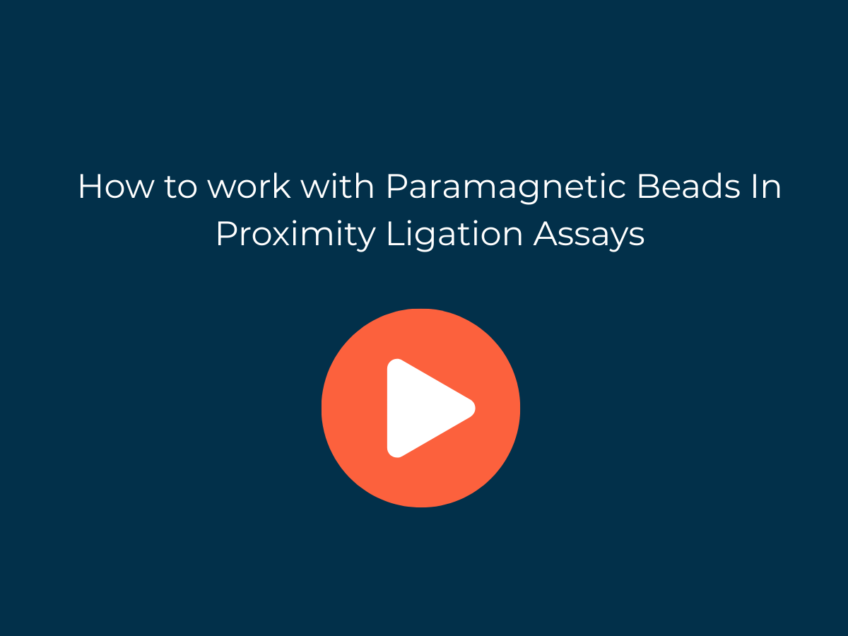 How to work with Paramagnetic Beads In Proximity Ligation Assays