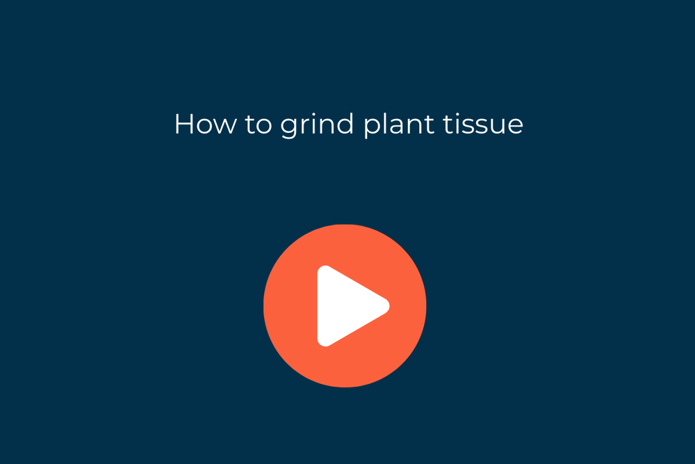 How to grind plant tissues