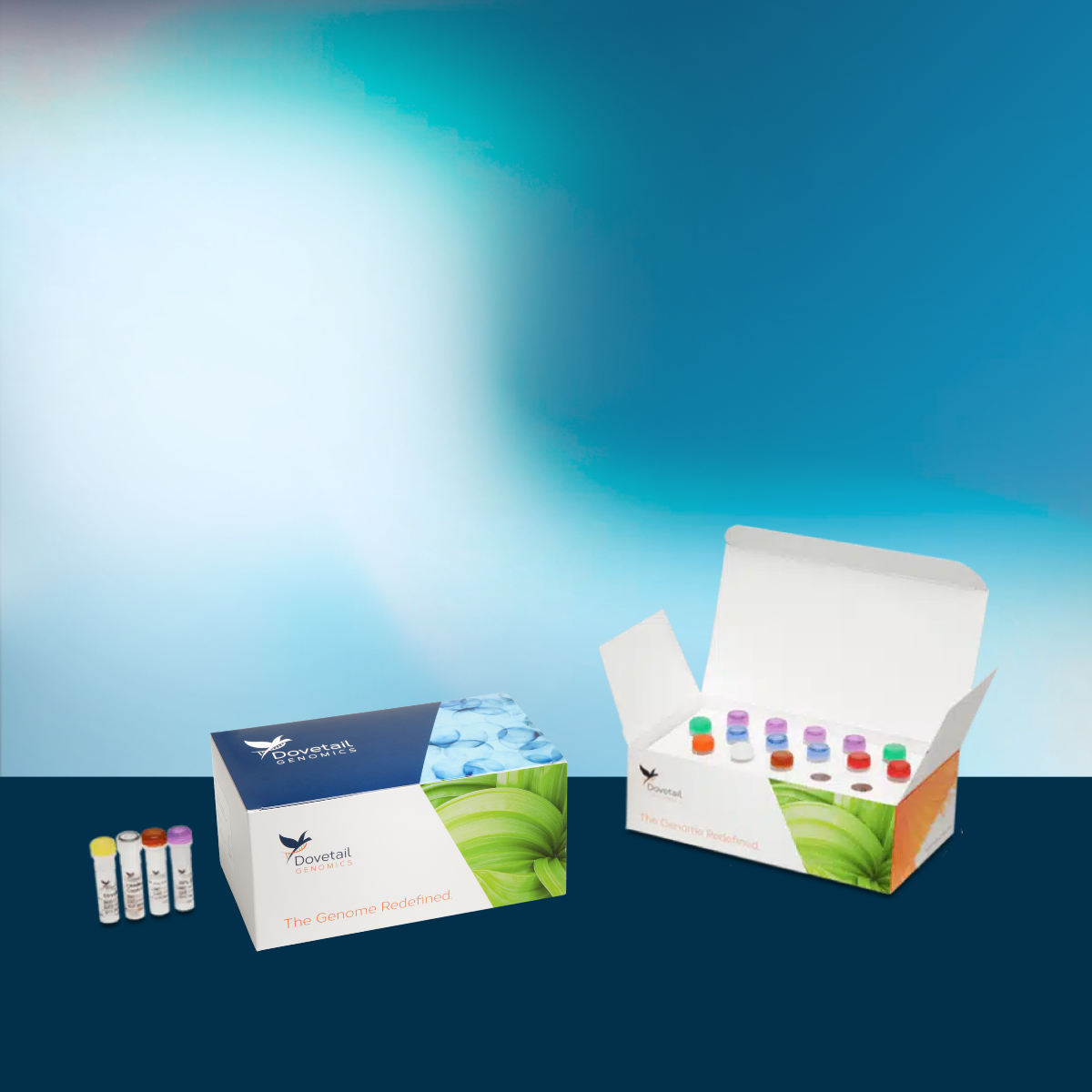 Dovetail® FFPE Kit - Kit Only