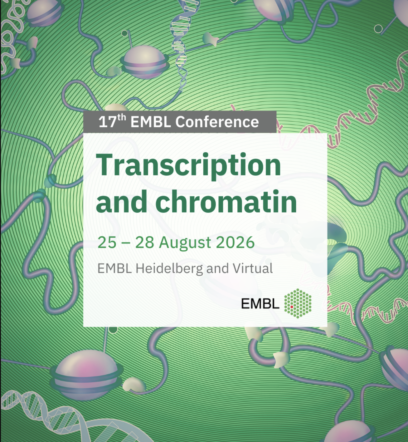 EMBL - Transcription and chromatin