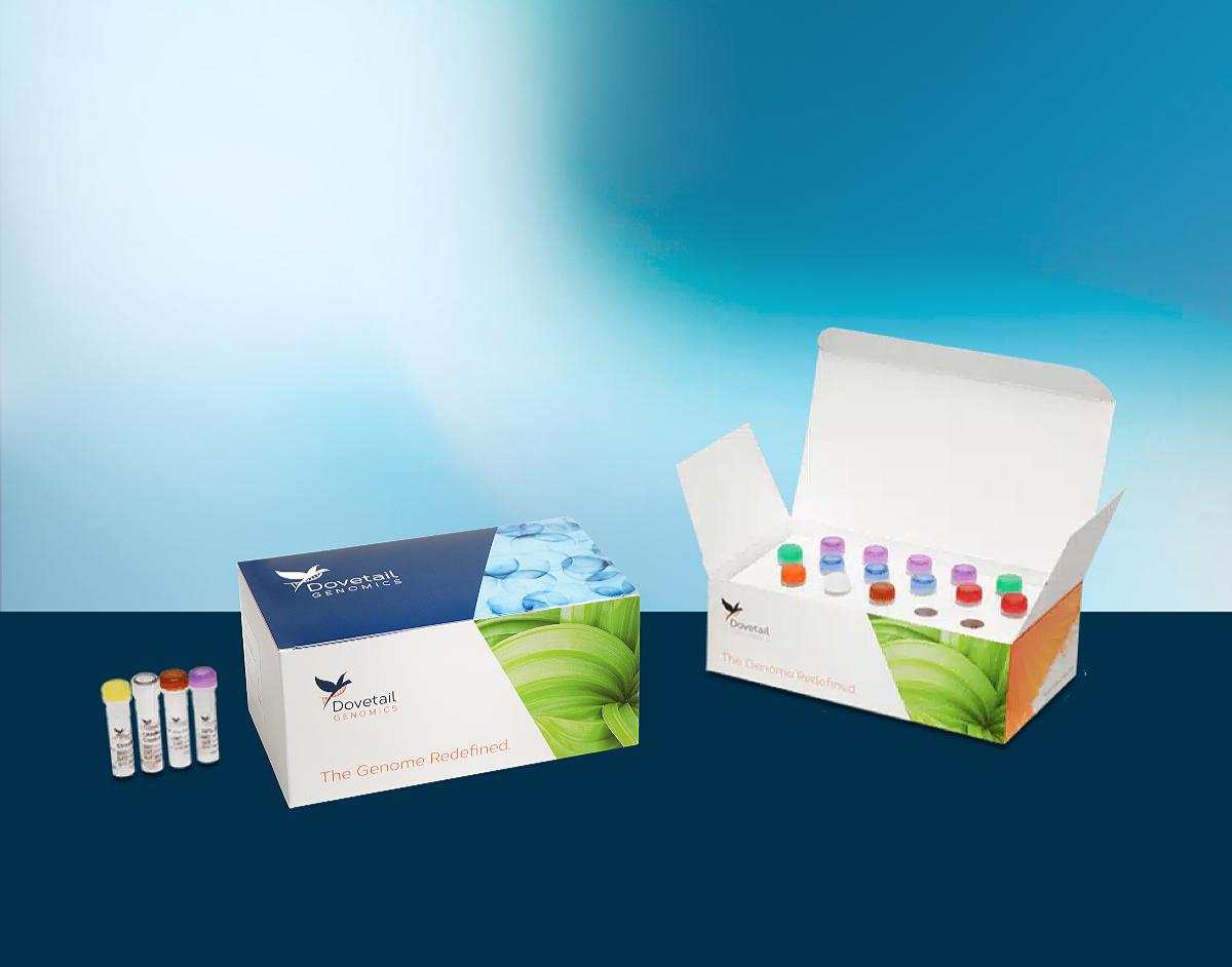 Dovetail® FFPE Kit | Full Solution