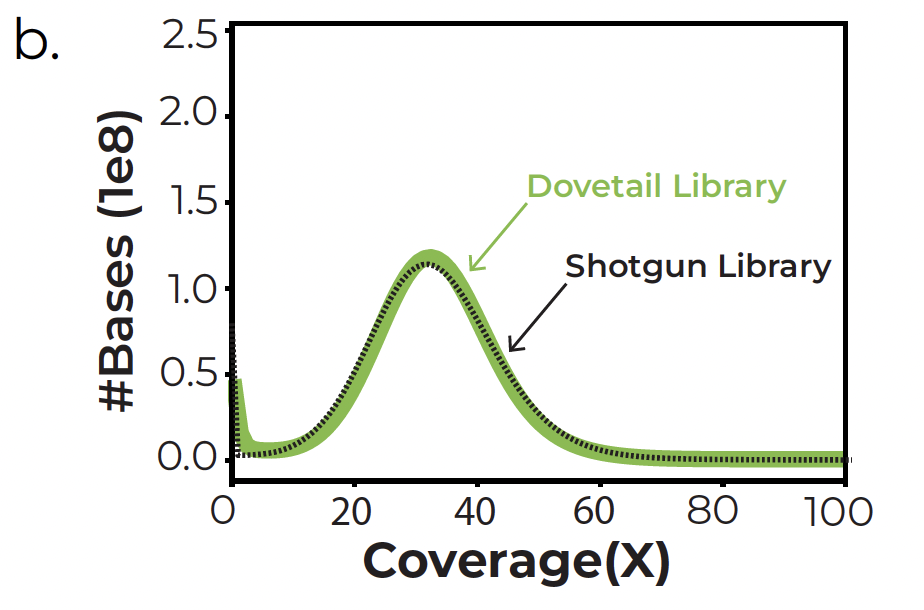 Line graph comparing sequencing coverage between Dovetail libraries and Shotgun libraries, showing comparable genome-wide coverage across the genome.