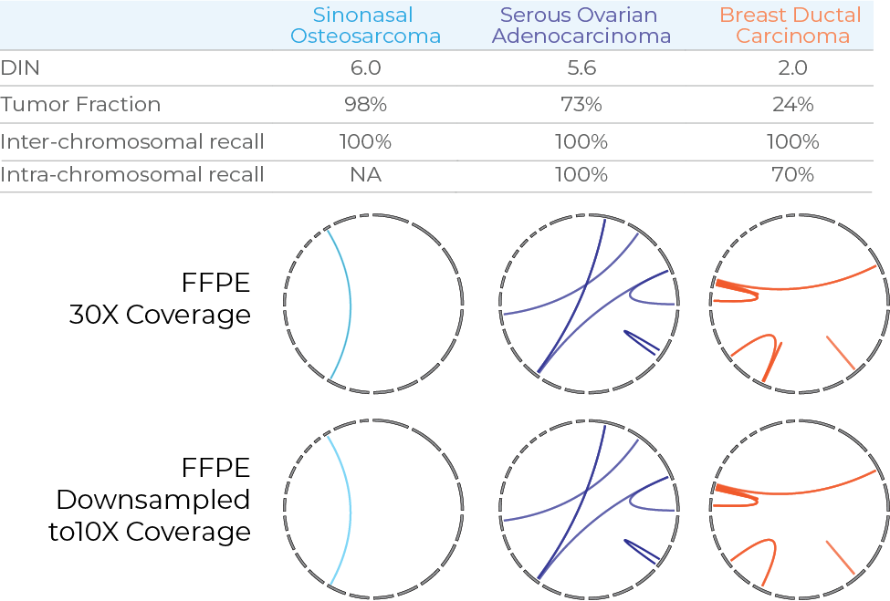 Comparison of structural variant detection in three FFPE tumor samples at 30× and downsampled 10× sequencing coverage, showing consistent detection across coverage levels.