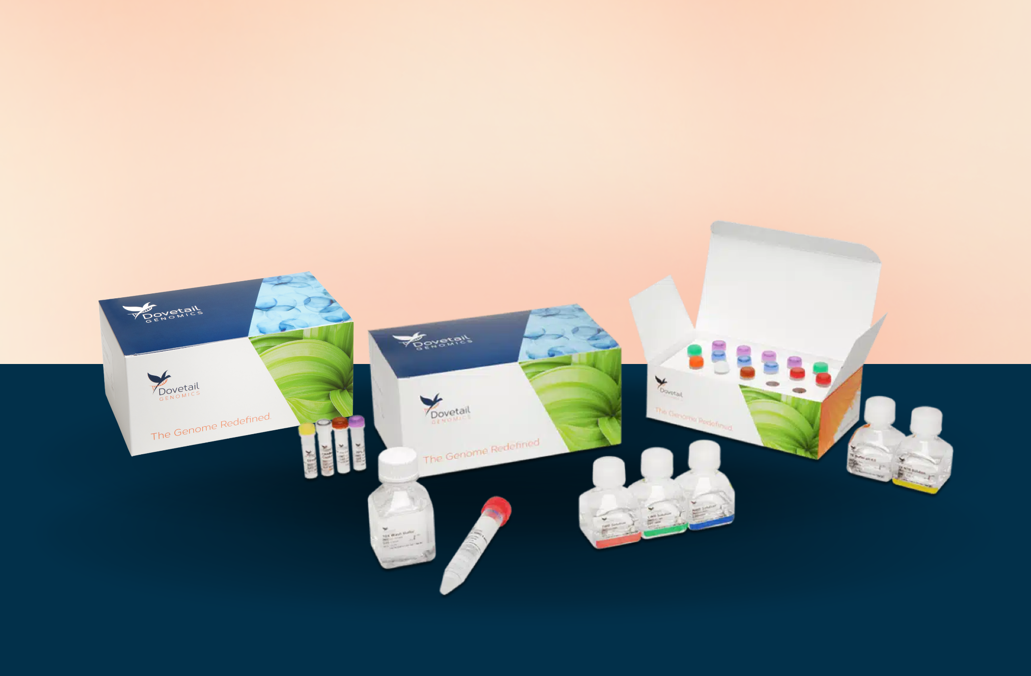 Dovetail® FFPE Kit - Kit Only