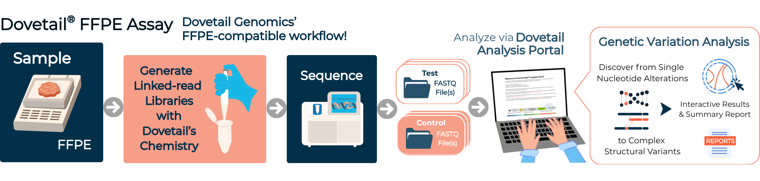 Dovetail FFPE Assay Workflow. Sample to Insight.