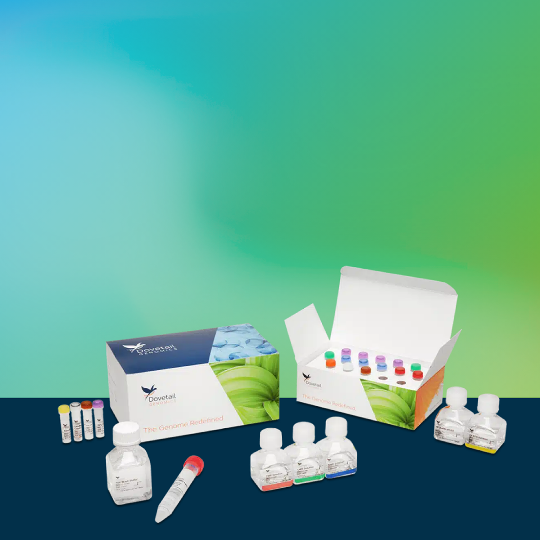 Omni-C® Kit |  Full Solution