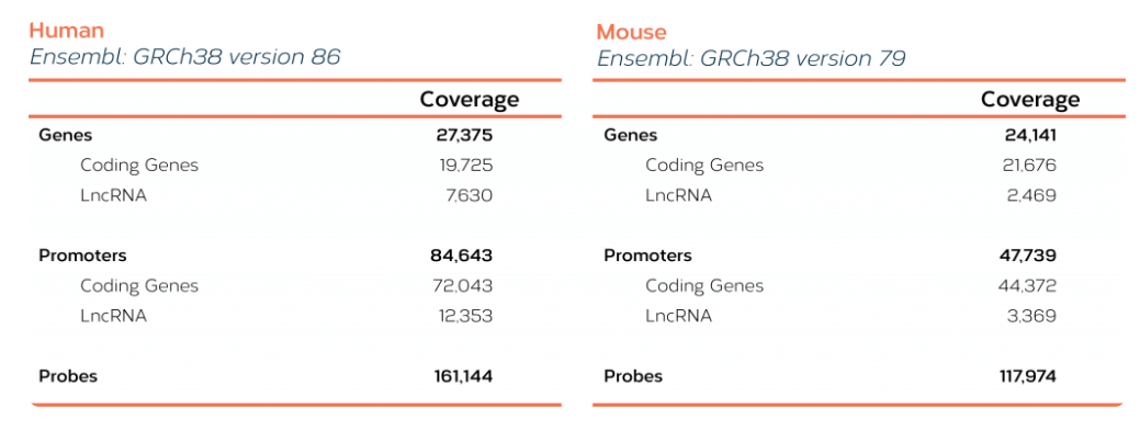 Table showcasing human and mouse Pan Promoter Panel coverage, including coding genes, long non-coding RNAs (lncRNAs), promoter regions, and capture probes.