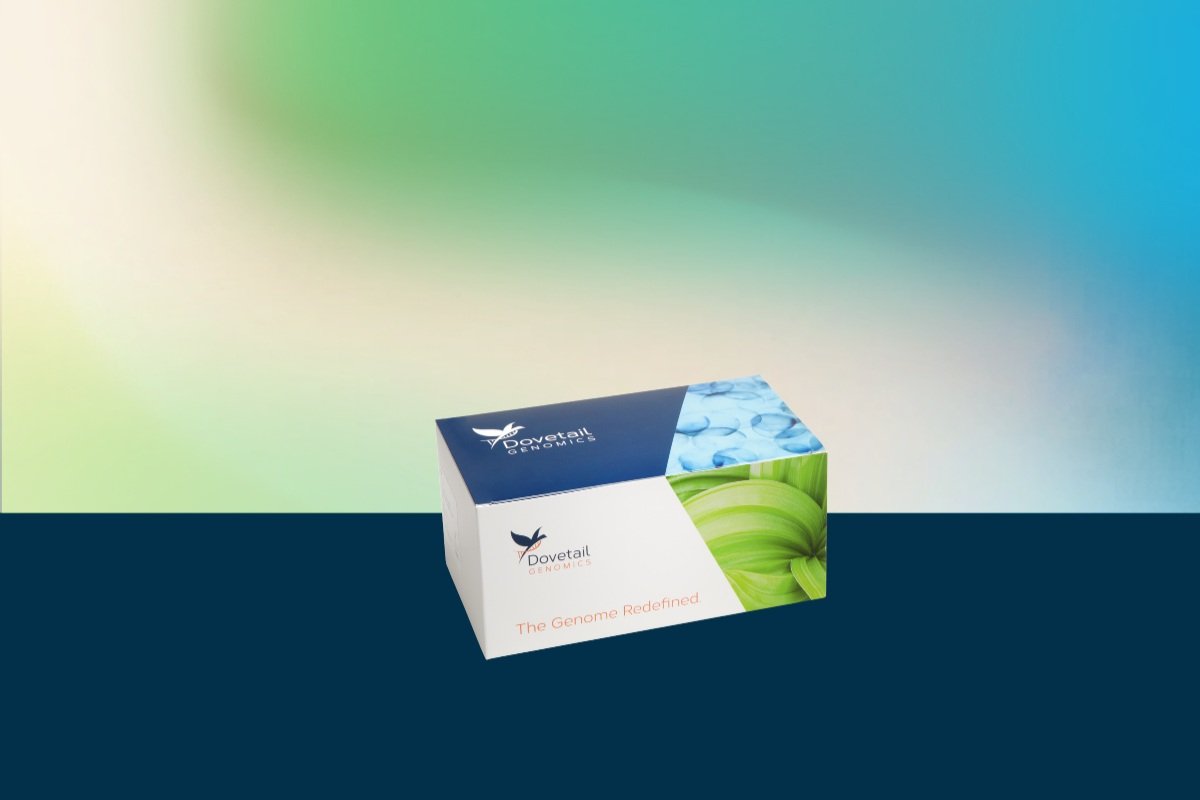 Dovetail Library Module for Illumina