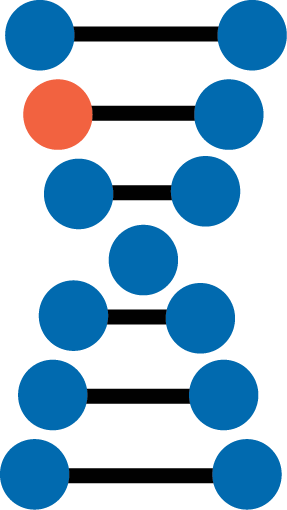 Illustration of a DNA double helix with a colored base representing a single nucleotide genomic variation.
