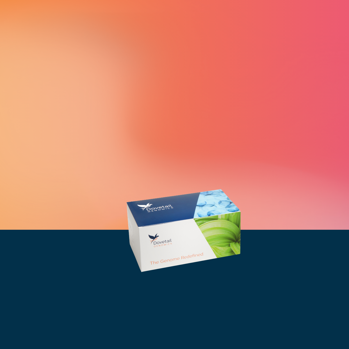 PDT Pages (35).png