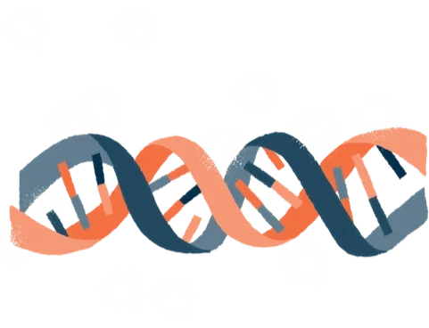 Illustration of a DNA double helix.