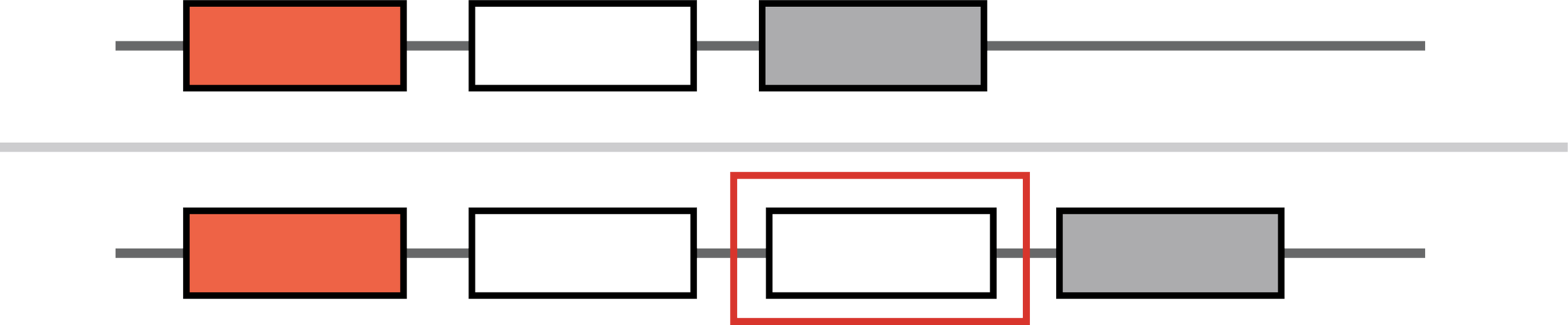 Illustration of a structural variant showing a genomic duplication, where an additional DNA segment has been duplicated.