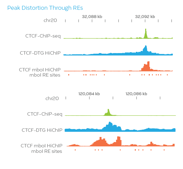 Graph showing peak distortion through regulatory elements with three tracks: CTCF-ChIP-seq in green, CTCF-DTG HiChIP in blue, and CTCF mbol HiChIP mbol RE sites in red. Each set displays data across chromosome 20 regions with specific peaks.