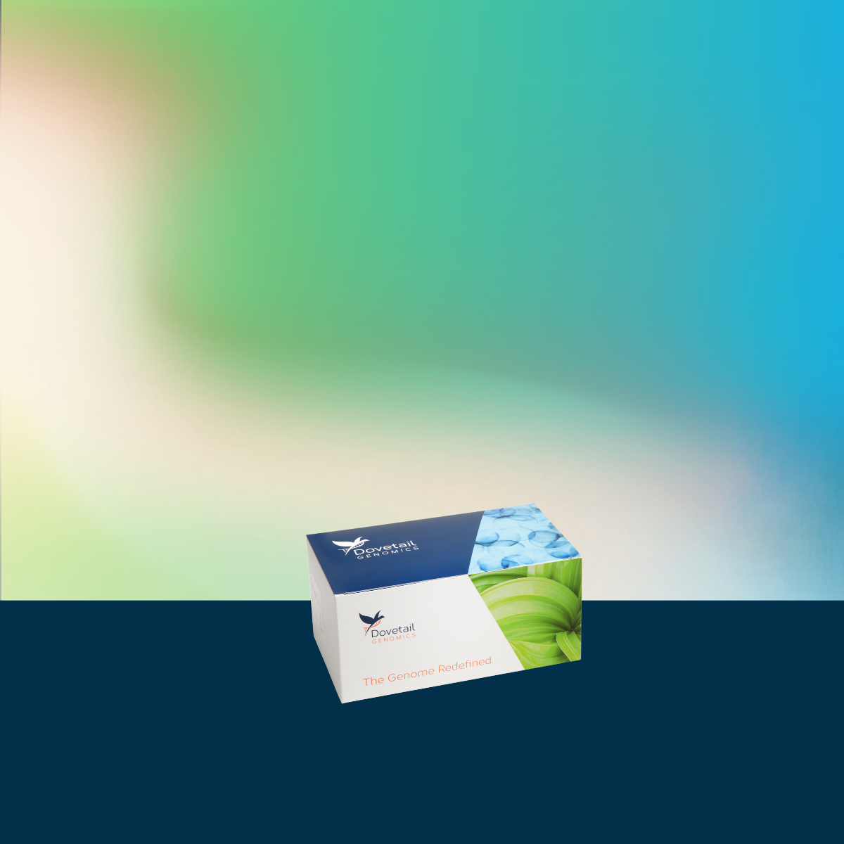 Dovetail Library Module for Illumina