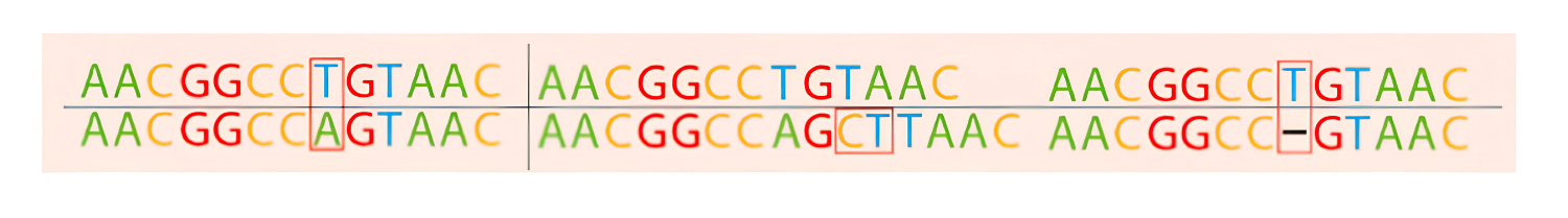 A DNA sequence with base pairs highlighted: green for adenine (A), red for guanine (G), yellow for cytosine (C), and blue for thymine (T). The sequence includes several marked small variants.