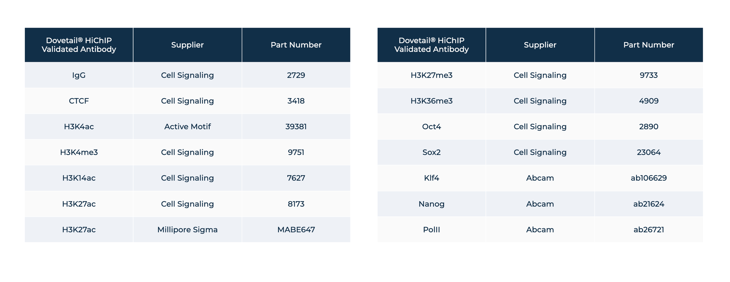 Table displaying validated antibodies, with columns for antibody name, supplier, and part number, divided into two sections.