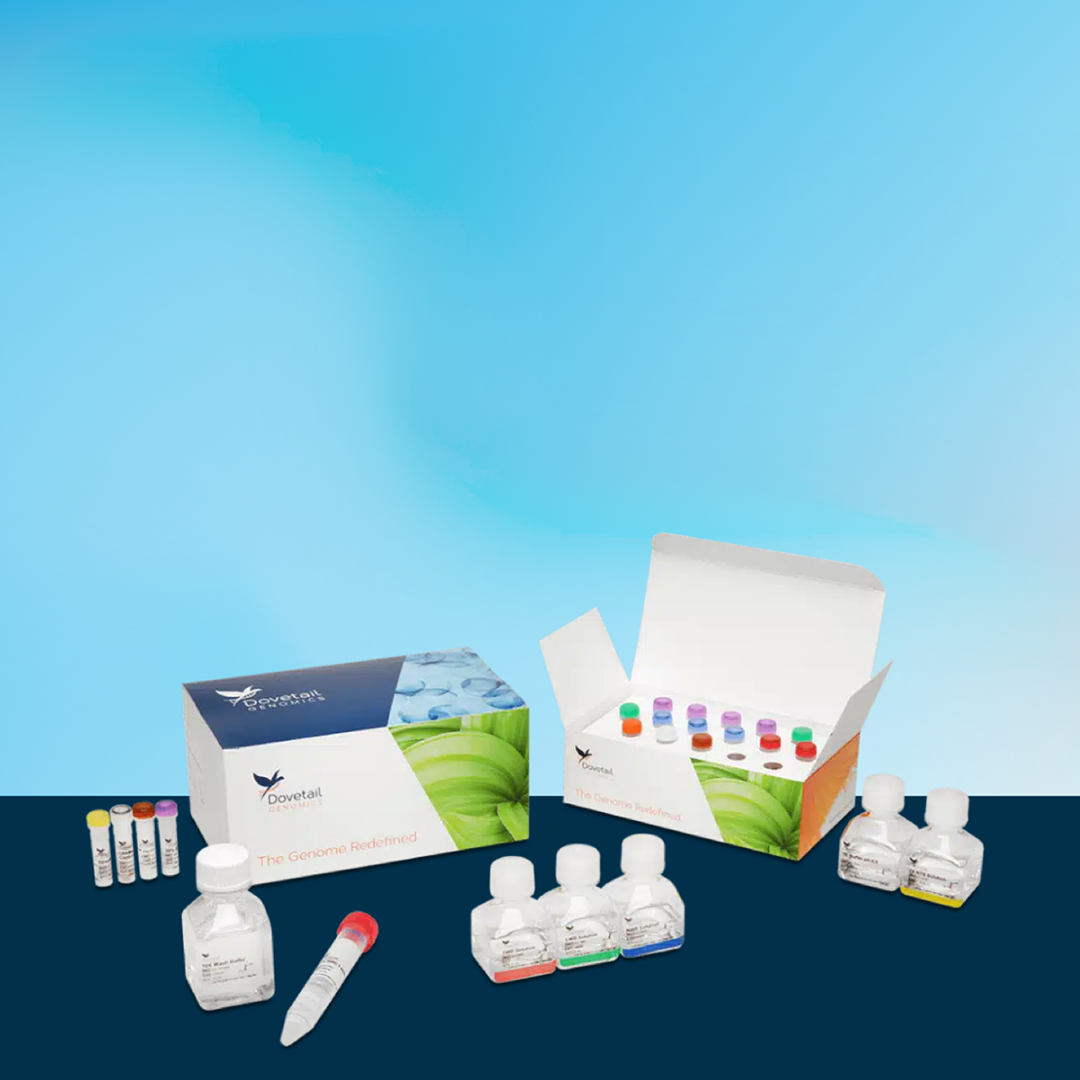 Micro-C Kit  |  Full Solution