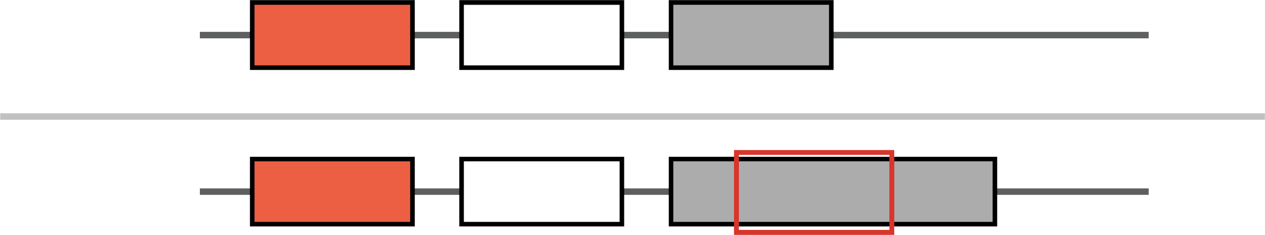 Illustration of a structural variant showing a genomic insertion, where a DNA segment has been inserted into a gene region.