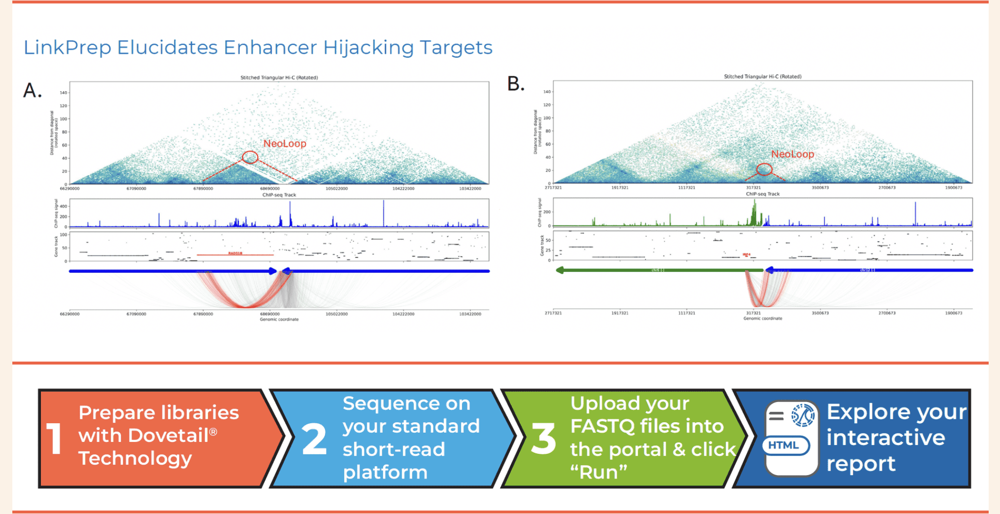 LinkPrep ft. Enhance Hijacking Targets & LinkPrep Workflow