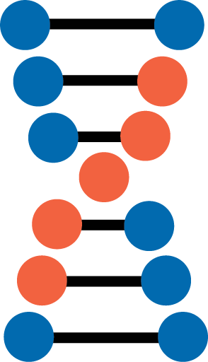 Illustration of a DNA double helix with a colored DNA segment representing a genomic variation.