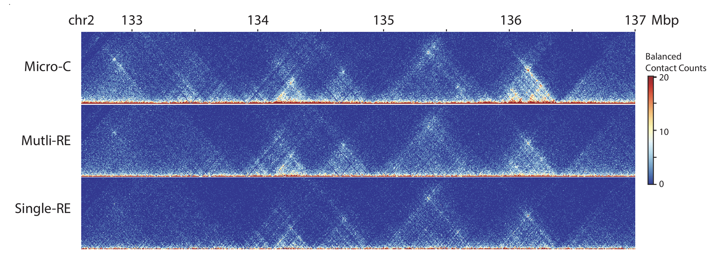 Chromatin contact maps comparing Micro-C, Multi-RE Hi-C, and Single-RE Hi-C across the same genomic region, showing higher-resolution chromatin interactions with Micro-C.