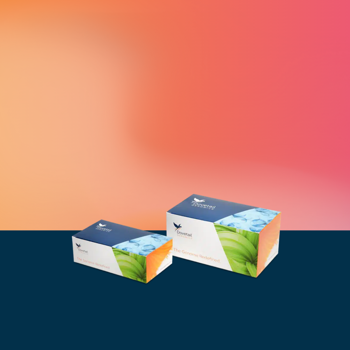Buy Dovetail® LinkPrep™ Library Prep Core XL — Dovetail Genomics