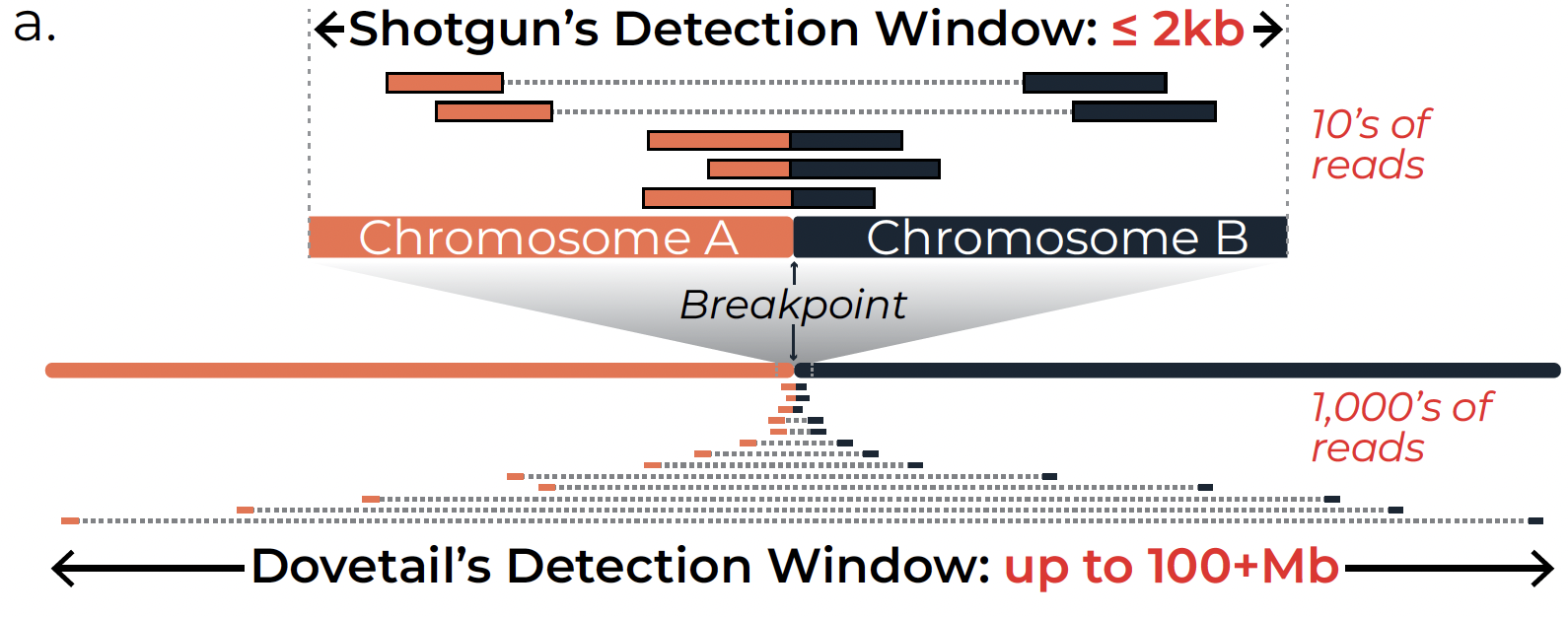 Diagram comparing structural variant breakpoint detection using shotgun sequencing and Dovetail® LinkPrep™ linked-read technology.