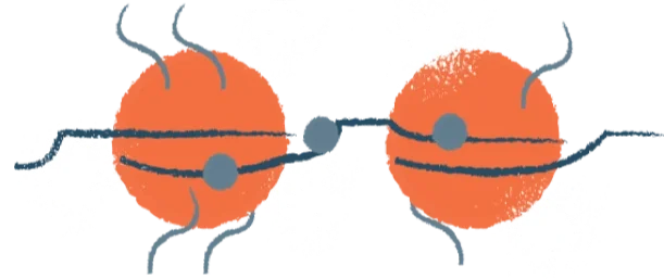 Illustration of DNA wrapped twice around histone proteins, forming nucleosomes with associated regulatory proteins.