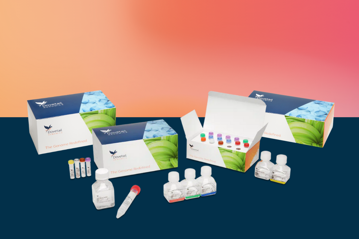 LinkPrep™ XL Kit | Full Solution