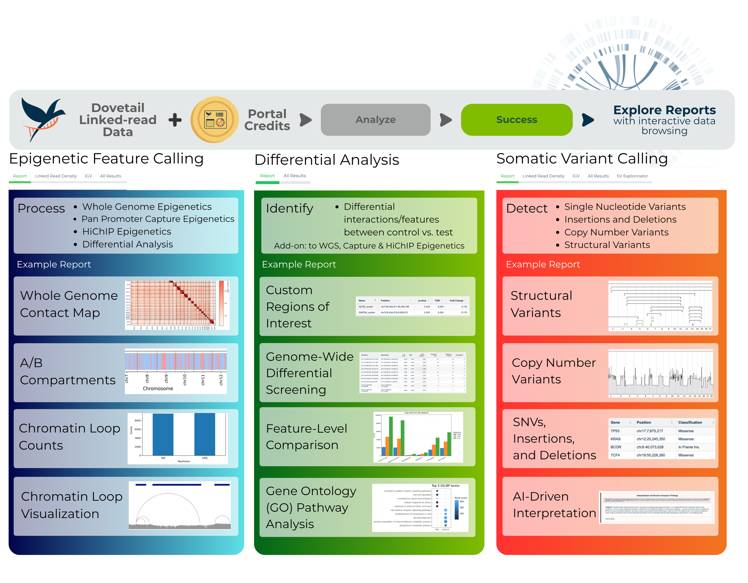 A scientific infographic detailing various genomic analysis techniques and reports, including epigenetic feature calling, differential analysis, somatic variant calling, and gene ontology pathway analysis.