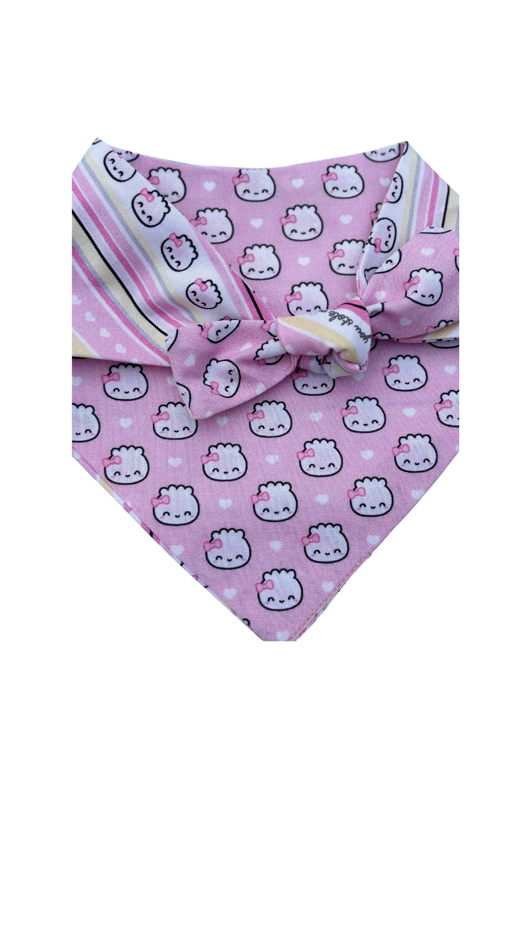 Copy of Bandana - #3 Wonton In a Million Back.png