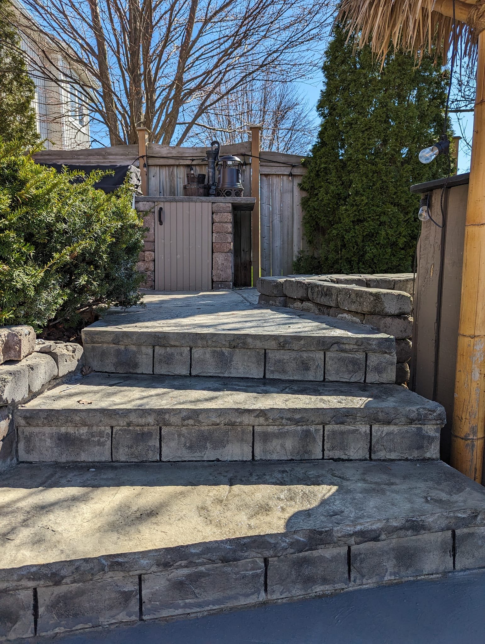 Outdoor staircase with three steps leading up to a wooden fenced area, with shrubbery on the left and a large green shrub on the right, under a blue sky with some trees in the background.