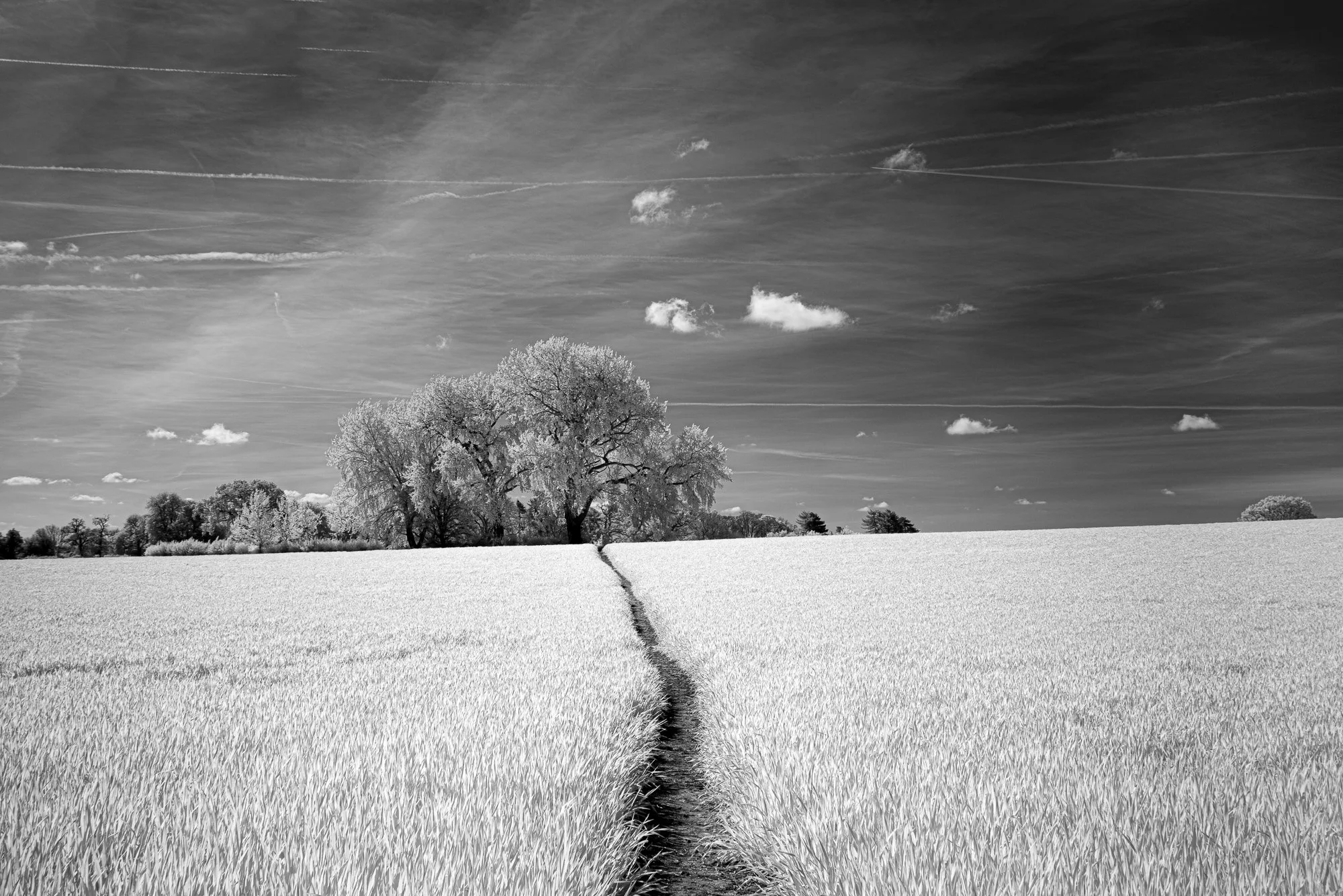 Away from Tackley Heath