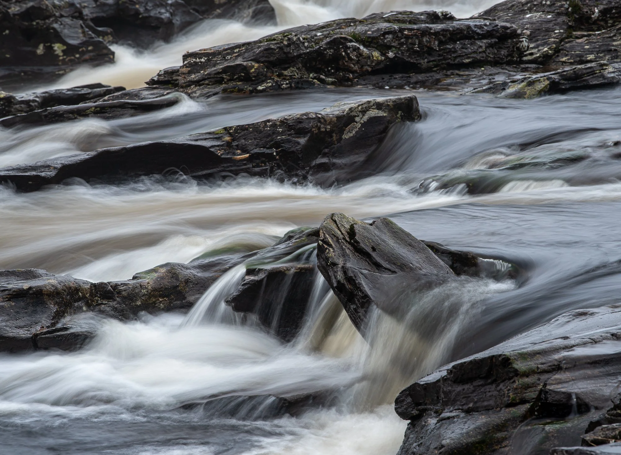 _DSC0231.jpg