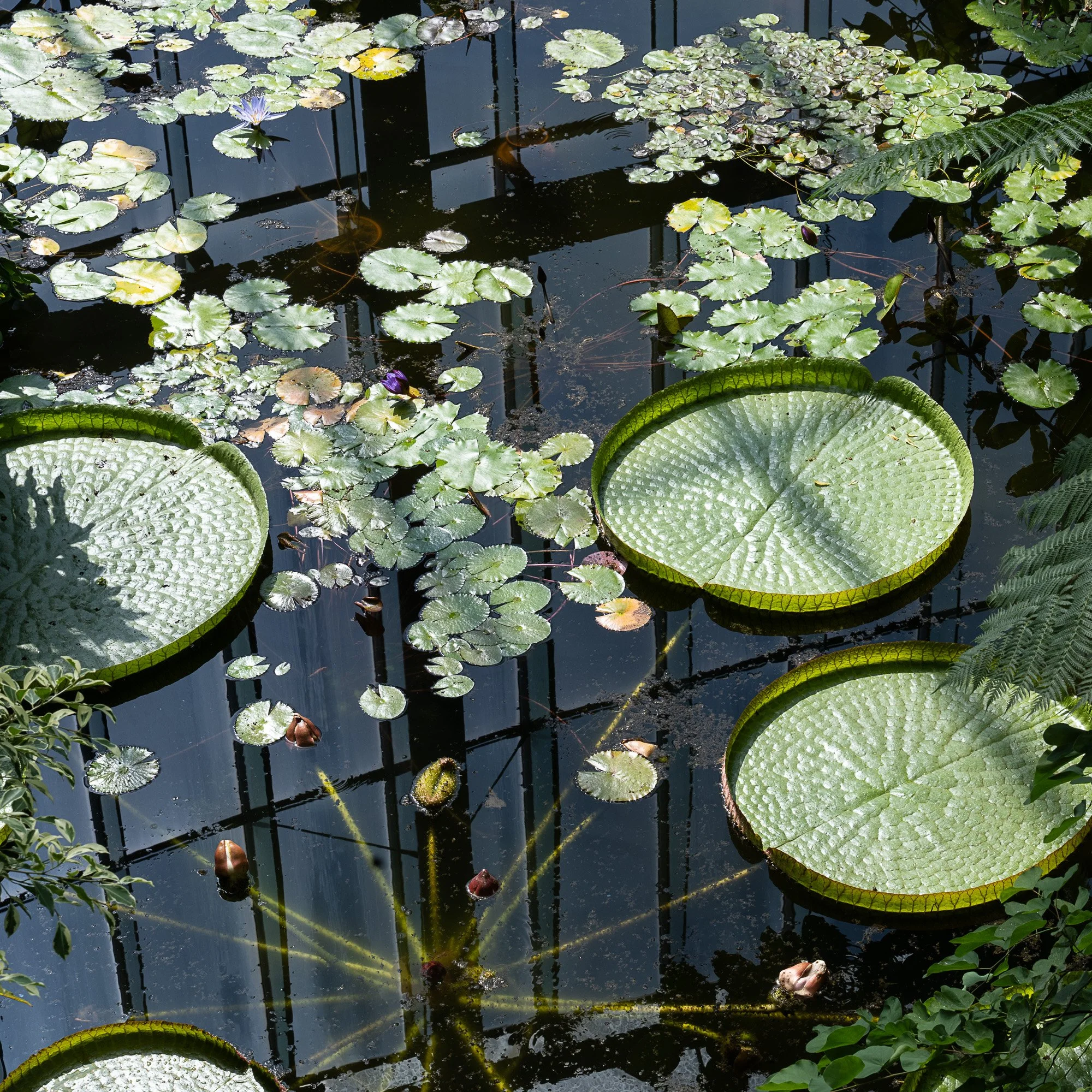 DSC_3168.jpg