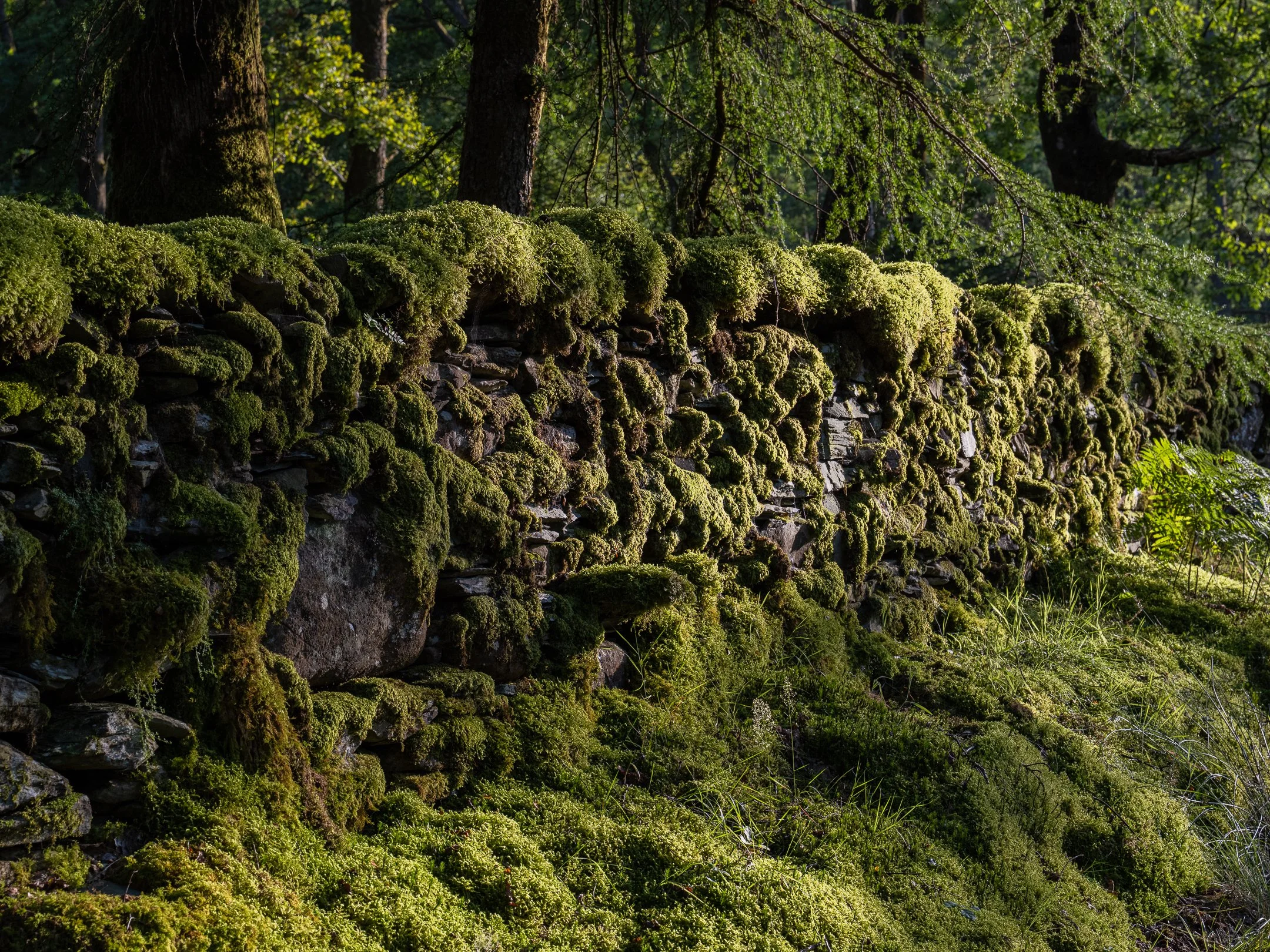 Old Wall